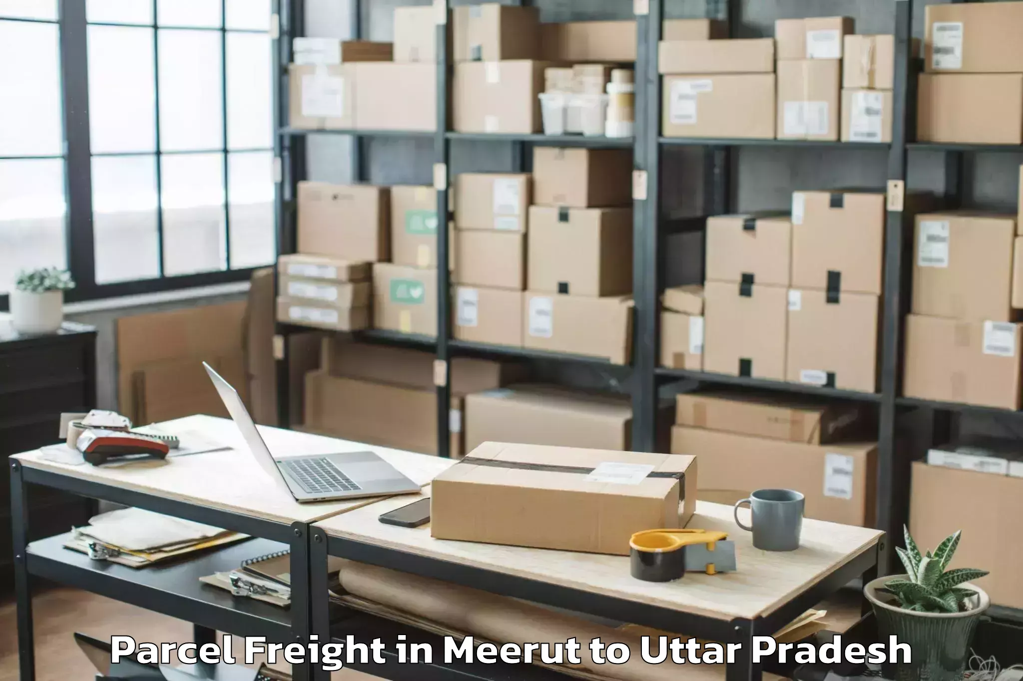 Quality Meerut to Chillupar Parcel Freight